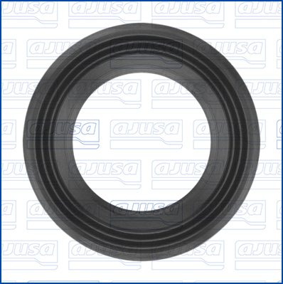 Pakking / Afdichting Ajusa 01609600