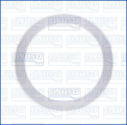 Pakking, verstuiverhouder Ajusa 01719000
