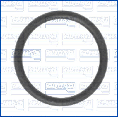 Afdichtring, wateraansluiting (turbolader) Ajusa 16007800