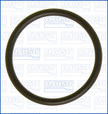 Afdichtring Ajusa 16056200