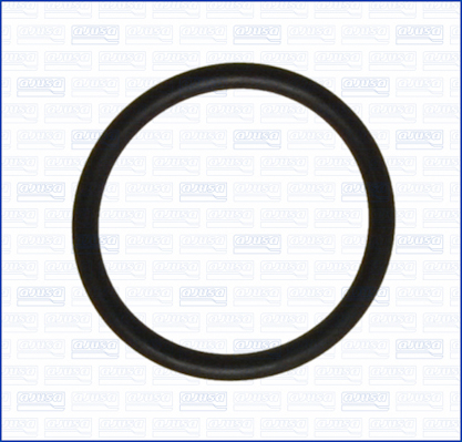 Afdichtring, waterpomp Ajusa 16060300