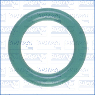 Afdichtring, inspuitpomp Ajusa 16079100