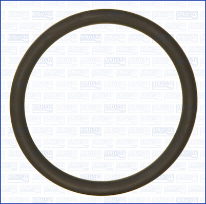 Afdichtring, aansluitslang, luchtfilterbehuizing Ajusa 16105900