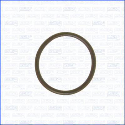 Afdichting, nokkenasverstelling Ajusa 16505000