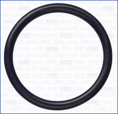 Pakking, waterpomp Ajusa 16506100