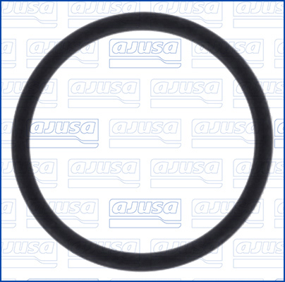 Afdichtring, aansluitslang, luchtfilterbehuizing Ajusa 16508200