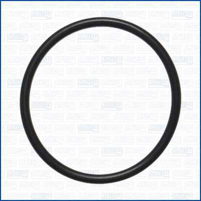 Dichtring, leiding EGR-klep Ajusa 16540300
