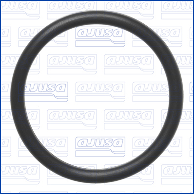 Pakking, waterpomp Ajusa 16547700