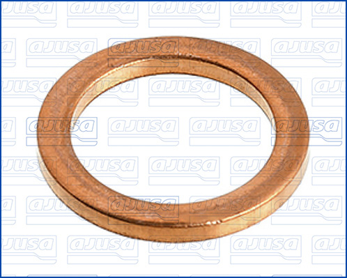 Verstuiverhouder pakking Ajusa 21014900