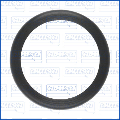 Afdichtring, waterpomp Ajusa 28011300