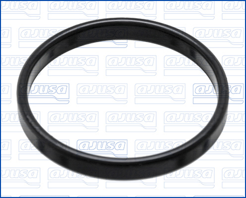 Pakking, thermostaathuis Ajusa 28011900