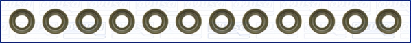 Ajusa Klepsteeldichting 57026000