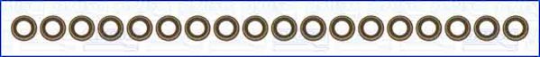 Klepsteeldichting Ajusa 57072000