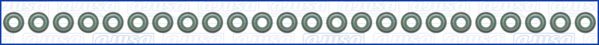 Klepsteeldichting Ajusa 57076000