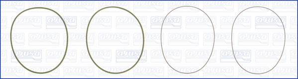 Cilinderbus/voering O-ring Ajusa 60008000