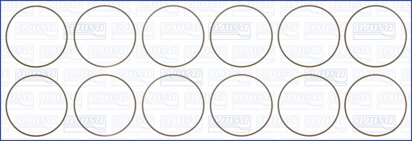 Cilinderbus/voering O-ring Ajusa 60009000