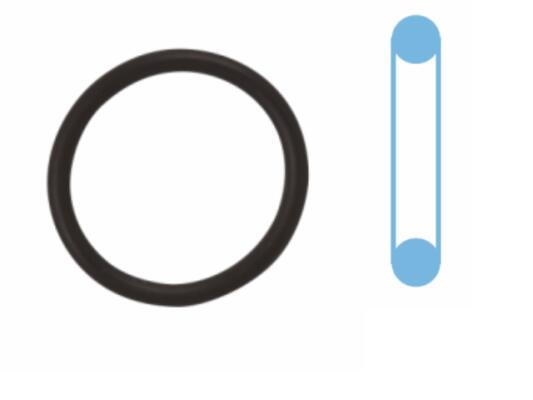 Olie aftapplug dichting Corteco 041118S