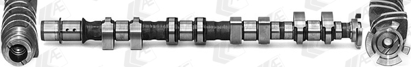 AE Nokkenas CAM1013