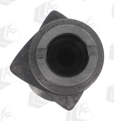 AE Nokkenas CAM1013