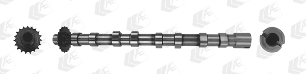 AE Nokkenas CAM1018