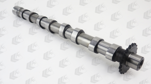 AE Nokkenas CAM1018