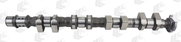 AE Nokkenas CAM1020