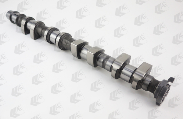 AE Nokkenas CAM1020