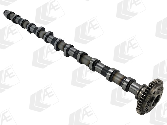 AE Nokkenas CAM1028