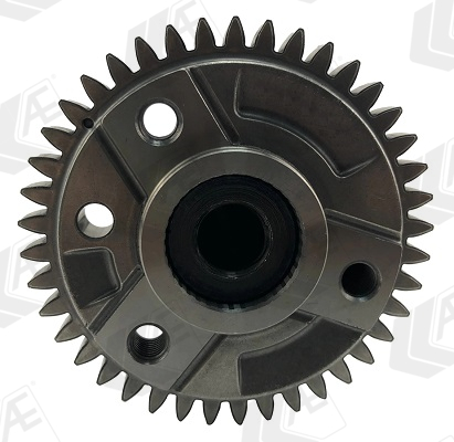 AE Nokkenas CAM1028