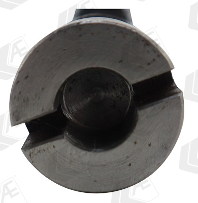 AE Nokkenas CAM1032