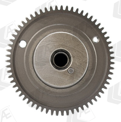 AE Nokkenas CAM1035