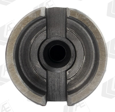 AE Nokkenas CAM1035