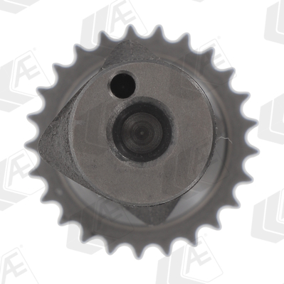 AE Nokkenas CAM1041