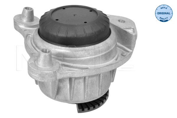 Meyle Motorsteun 014 024 0060
