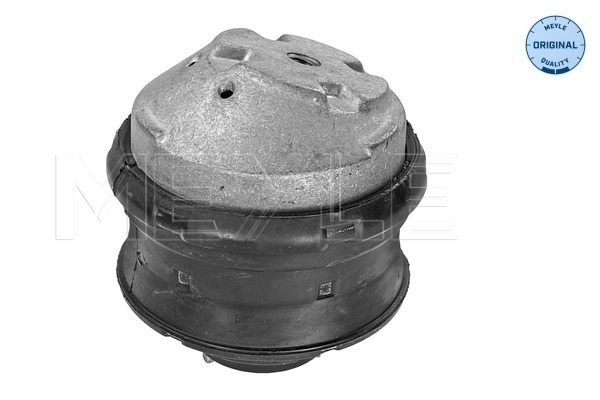 Meyle Motorsteun 014 024 0118