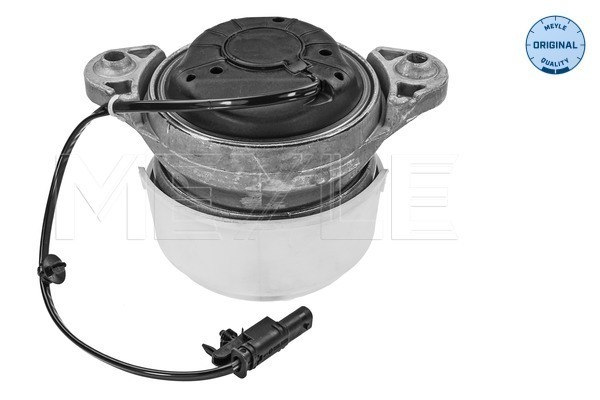 Meyle Motorsteun 014 024 0166