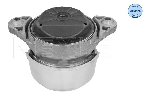 Meyle Motorsteun 014 024 0169