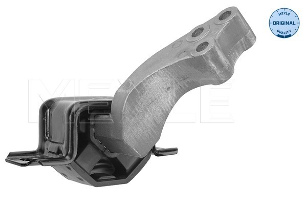 Meyle Motorsteun 014 024 1073