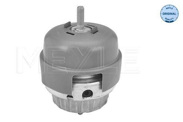 Meyle Motorsteun 100 199 0123