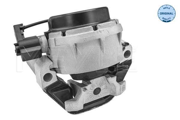 Meyle Motorsteun 100 199 0317