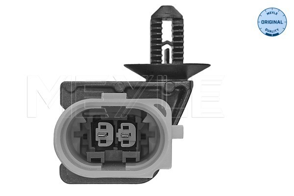 Meyle Motorsteun 100 199 0317