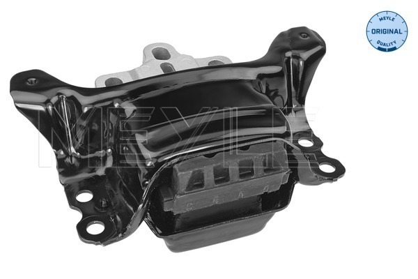 Meyle Motorsteun 100 199 1069
