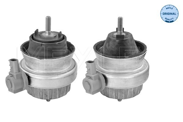 Meyle Motorsteun 100 199 3000/S