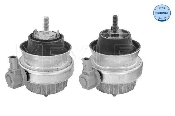 Meyle Motorsteun 100 199 3001/S