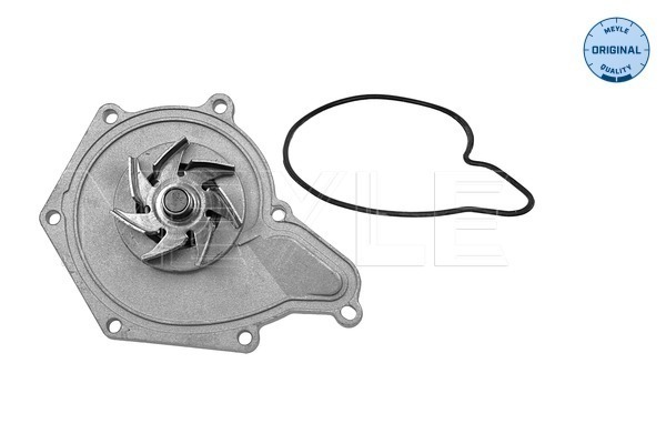 Meyle Waterpomp 113 220 0006
