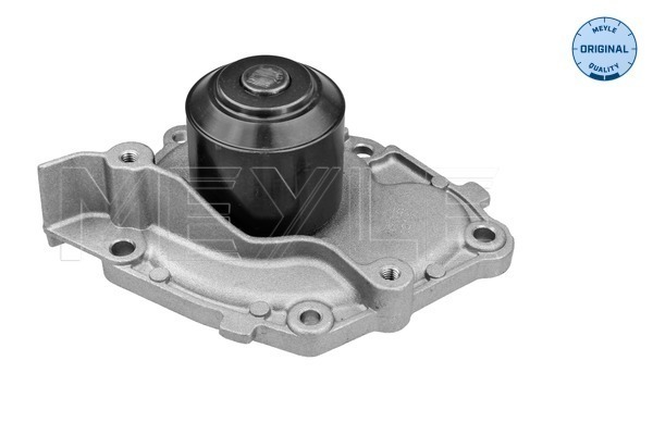 Meyle Waterpomp 16-13 220 0011