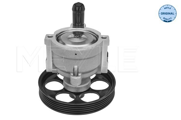 Meyle Servopomp 16-16 631 0002