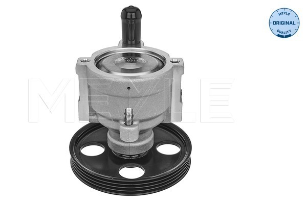 Meyle Servopomp 16-16 631 0003