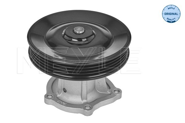 Meyle Waterpomp 29-13 220 0002