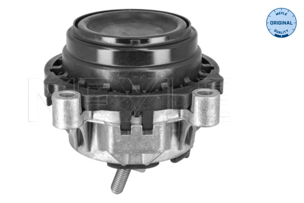 Meyle Motorsteun 300 118 1138